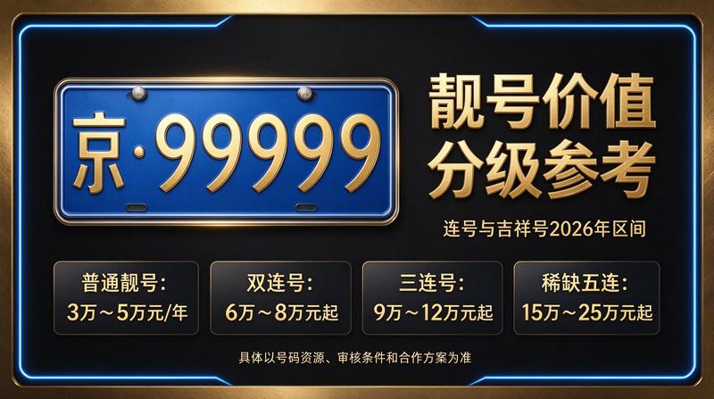 北京小牛京牌五年租赁合同与车辆展示